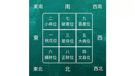 大門向西南2024|【龍震天】2024年龍年風水佈局、大門地氈顏色、特別佈局